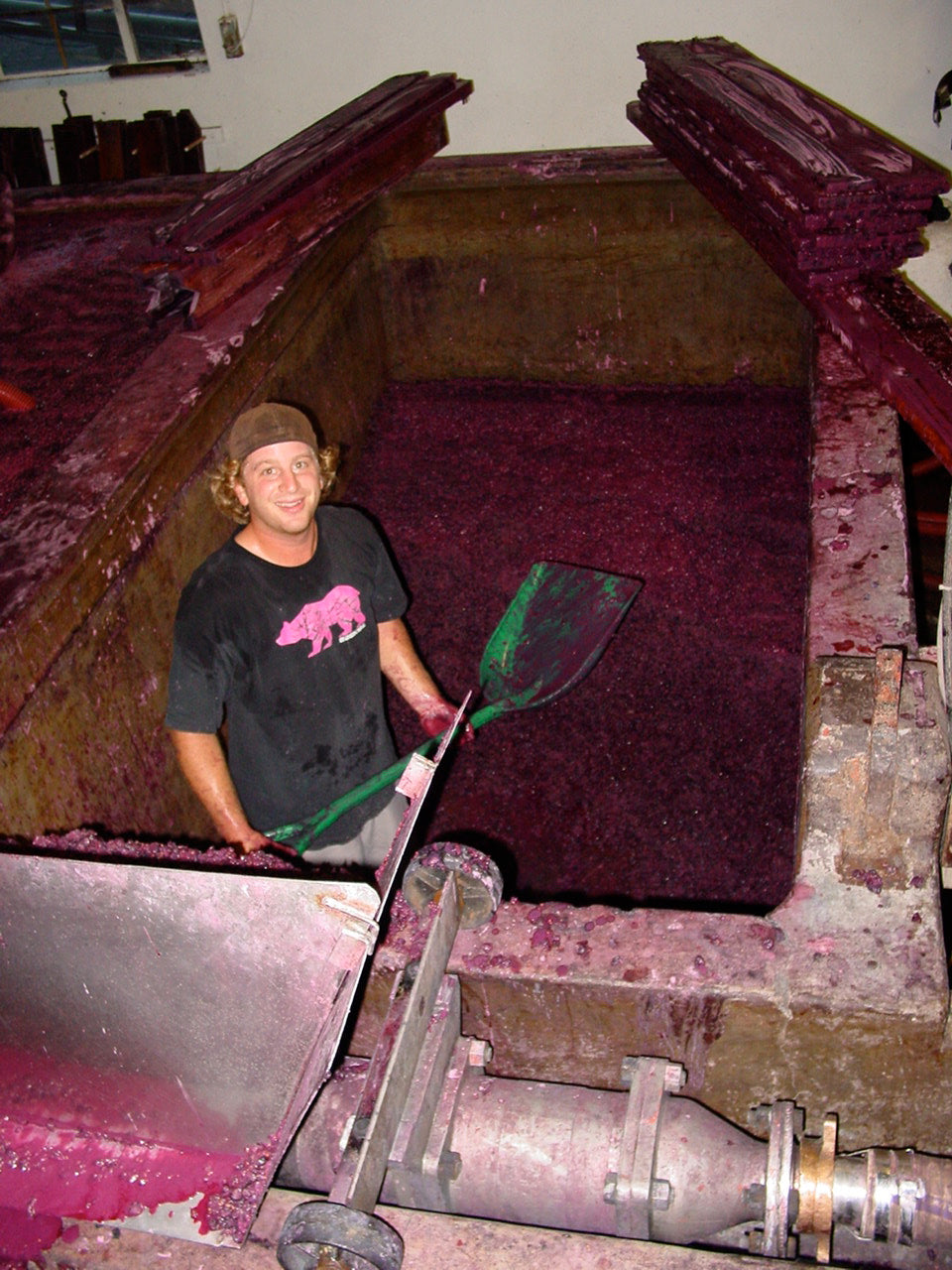 Winemaker Dave Potter punching down grapes in a fermentation vat at Municipal Winemakers